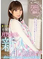 FSDSS-044 - Fresh Face: Shy Kindergarten Teacher And Cosplayer On Her Days Off Makes Her AV DEBUT: Sakura Tsukino