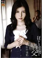 HAVD-498 - Crazed Kissing and Sex New Wife & Father-in-Law Aya Tanaka