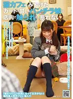 NHDTA-070 - The Girls Flashing Their Panties At The Cat Cafe Don't Mind Getting Felt Up In The Shop