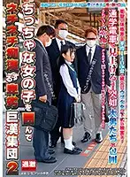 NHDTB-489 JAV Movie