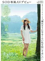 SDAB-002 - 