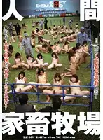 SDMS-608 - Human Cattle Ranch
