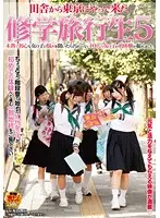 SDMT-259 - School Trip Adventure 5