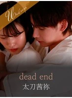 SILK-198-2 - dead end
