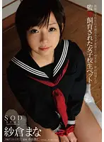 STAR-358 - Confined and Bred Pet Female High Schoolers Mana Sakura