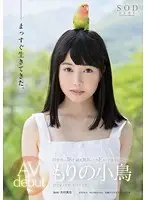 STAR-699 - Kotori Morino's AV Debut
