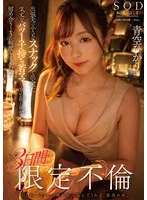 START-214 -  I met a strong-willed young divorced mother with a child at a small bar on a business trip and was turned on by her feminine face... We had sex over and over again for three days in a limited-time affair, Hikari Aozora