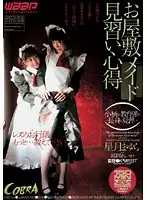 CBD-028 - Mansion Maid Learns By Example