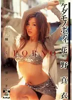 HODV-20269 JAV Movie