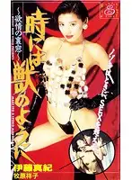 ME-013 - Wild At Times - Sexy Rear Window -