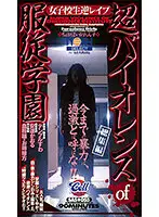 SAS-055 - The Power Academy Of Super Fighting