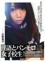EBKI-001 - Dirty Talking S********l In Full Panties - What If Rina Was In Love With You... Special Rina Serino