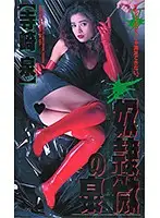 QX-112 - Izumi, The Petite S***e Izumi Terasaki
