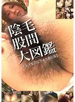 ZKID-01 - Video Encyclopedia Of Pubic Hair 1