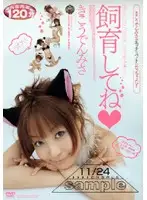 VFDV-130 JAV Movie