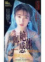FE-021 - Screaming Good Experiences - I'm Hooked - Nanase Kitahara