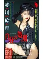 FE-054 - Mid-day Execution Eri Akakawa