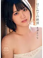 DV-1597 JAV Movie