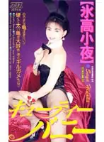 53ka1672 - Cutie Bunny