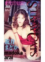 KA-1785 JAV Movie