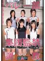 55id15019 - Volleyball Group Confinement and Breaking In