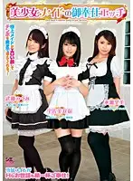 TSMS-017 - Beautiful Maid's Sex Service