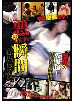 D-838 - The Decisive Moment Of Evil The Complete Highly Concentrated Edition