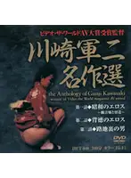 HET-049 - Gunji Kawasaki Masterpiece Collection