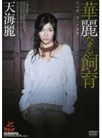 SRXV-489 - Magnificent Breeding - Rei Amami