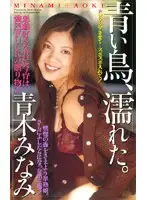 61ih52 - Wet Bluebird. Minami Aoki