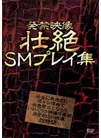 AEIL-204 - Banned Footage Fierce S&M Play Collection