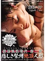 ATID-241 - The Age Of Cruel Romance Episode 2 Sad S&M Orgasm Doll Erina Fujisaki