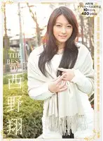 ATKD-197 - THE BEST OF SHOU NISHINO