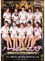 AVOP-309 - A Harlem Slut Massage Parlor 10 Of The Highest Class Therapists Will Provide The Ultimate In Hospitality