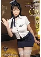 AVSA-344 -  Celebrity Exclusive Special Sexual Service CA Newcomer Training Himari Kosaka