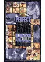 clr002 - Perfect Peep Video Toilet