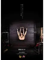 DASD-326 JAV Movie