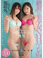 DASD-377 - A Dream Co-Starring Pair An Unequaled Beautiful Girl NH Harlem Seri Kizuki x Akari Yukino