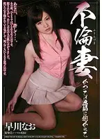 DDK-079 - Affair Nao Hayakawa