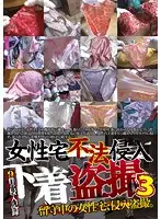 DPJT-005 - The Trespasser in a Woman's Home, Underwear Voyeur 3