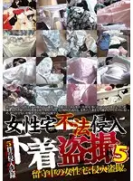 DPJT-025 - The Trespasser in a Woman's Home, Underwear Voyeur 5