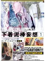 DSCP-006 - Wild Panty Thief 1
