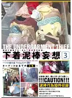 DSCP-011 - Wild Panty Thief 3