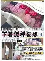 DSCP-012 - Wild Panty Thief 4