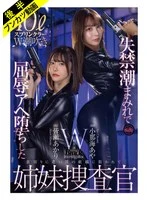 FJIN-129B JAV Movie