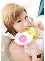 RBC-152 - Premium Tranny Shiho