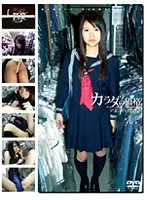 GS-682 - Barely Legal (325) Price Of Your Body; Y********l's Inexperienced Sex 62