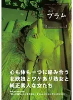 YP-1411 JAV Movie