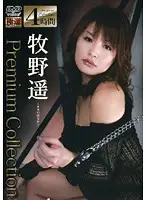 YDSW-01 JAV Movie