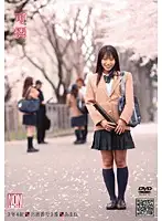 YSN-083 JAV Movie